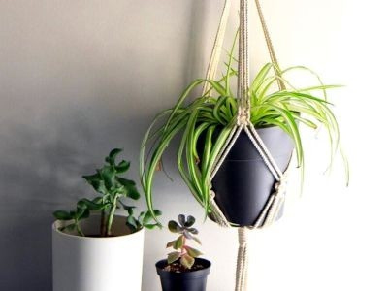 Victorian Seniors Festival - Macrame Plant Hanger Workshop at Shepparton Library
