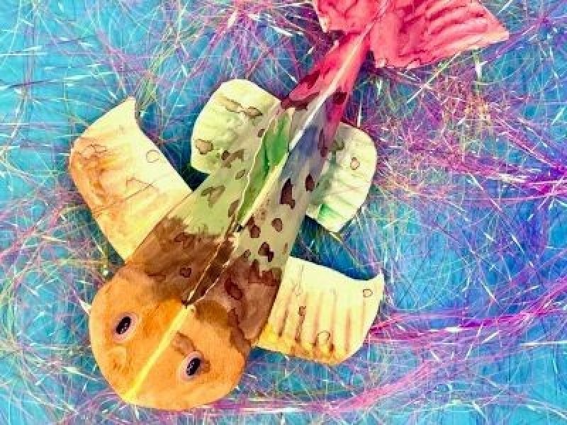 Plate Fish - School Holiday Activity at Shepparton Library