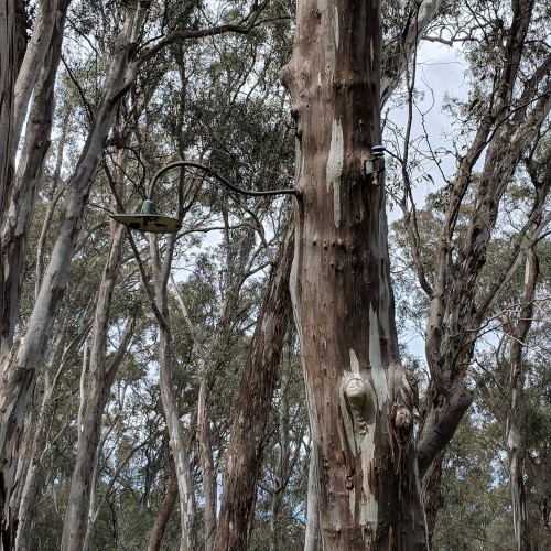 River Heritage Walk and Talk