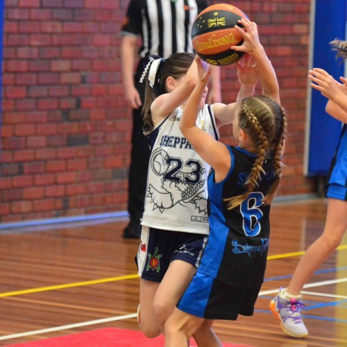 Greater Shepparton Basketball Association Annual Junior Tournament - Division 2/3/4 championships