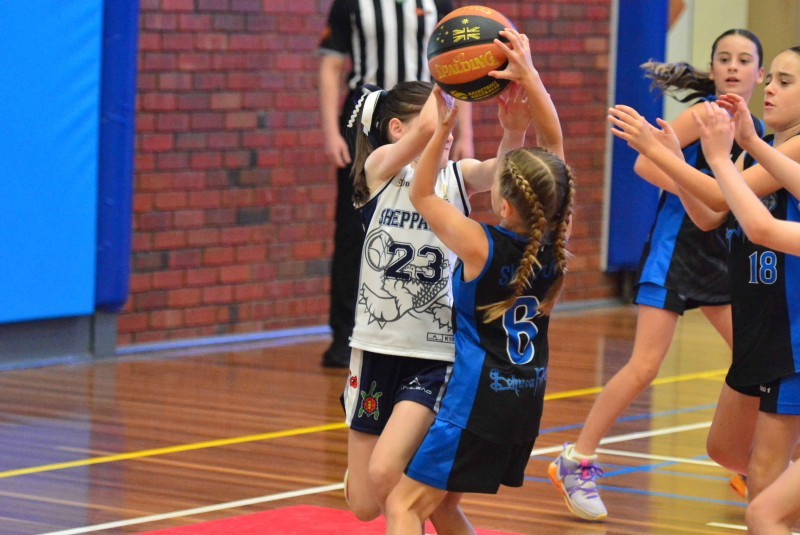Greater Shepparton Basketball Association Annual Junior Tournament - Division 2/3/4 championships