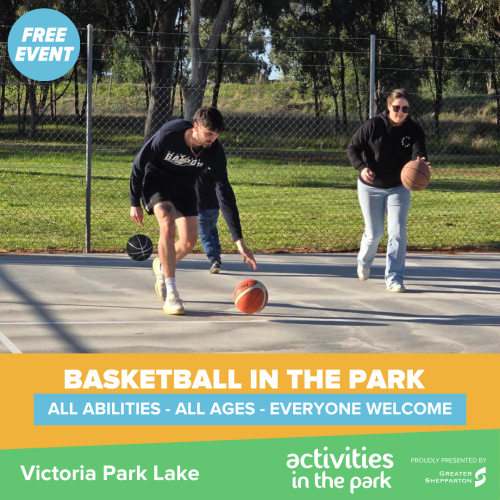 BASKETBALL IN THE PARK