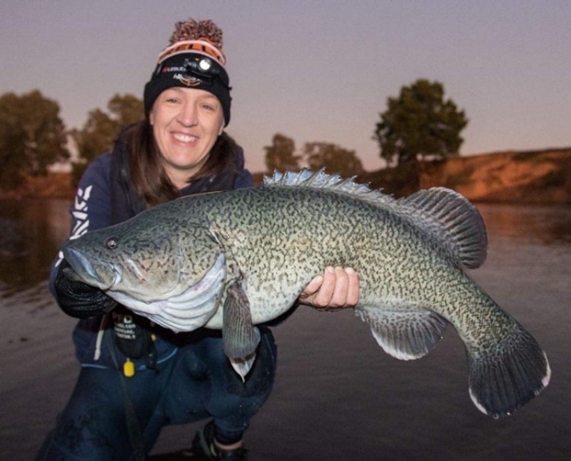 Murray Codference 2024