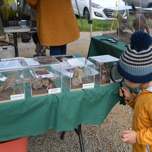 Nurture Nature at the Family Haven