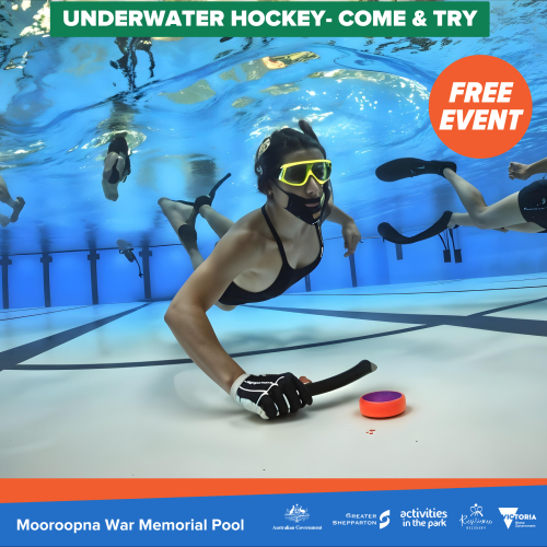 Underwater Hockey