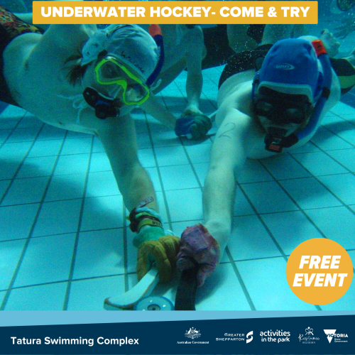 Underwater Hockey
