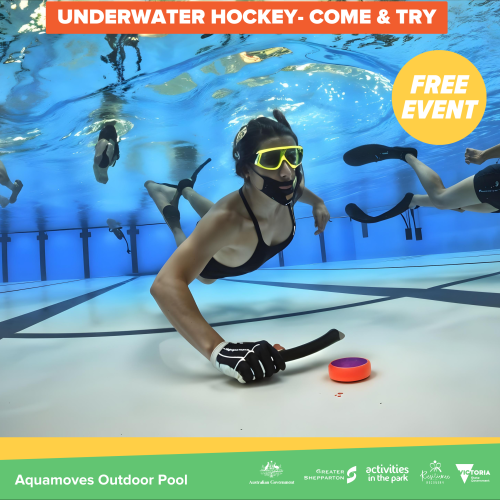 Underwater Hockey