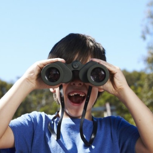 Parks Victoria's Junior Rangers Program