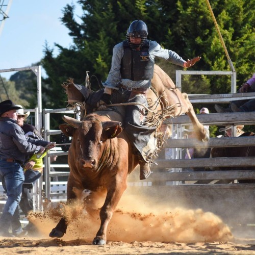 Shepparton Rodeo