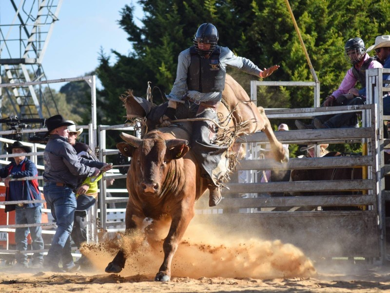 Shepparton Rodeo