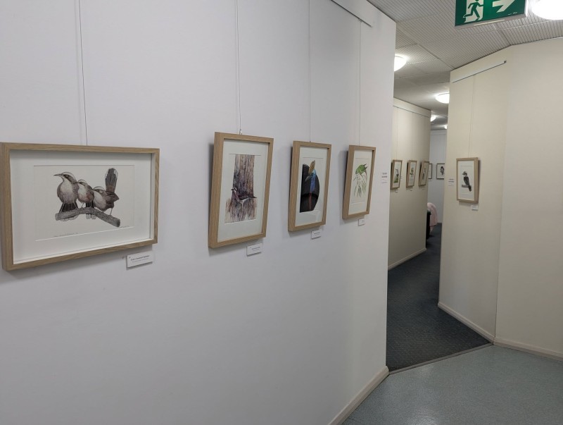Bird love - exhibition