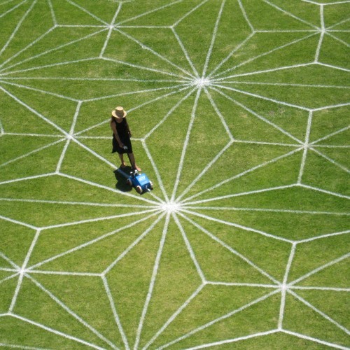 SAM Presents: Field Drawing with Kerrie Poliness