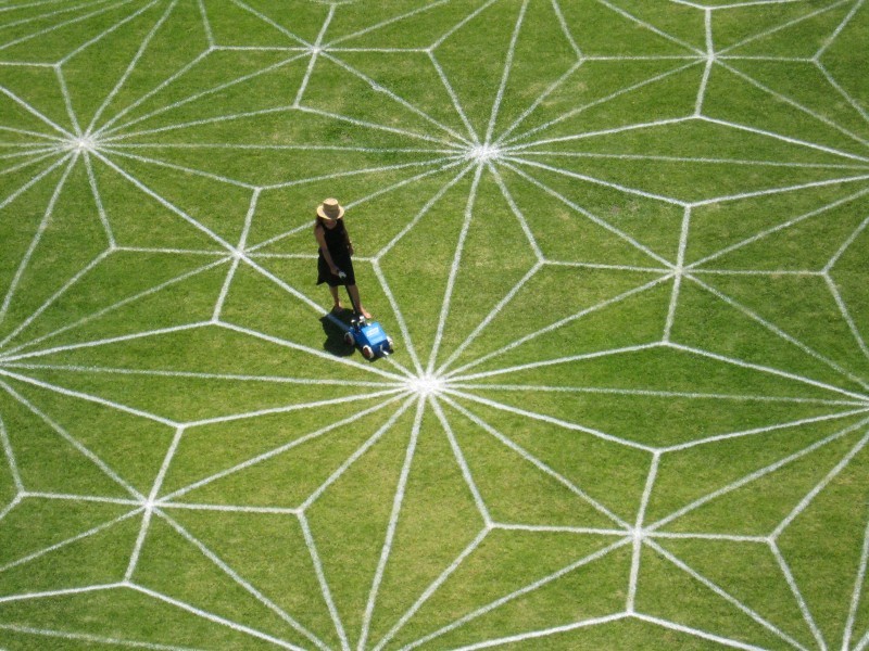 SAM Presents: Field Drawing with Kerrie Poliness