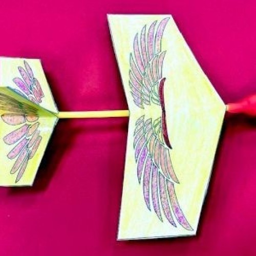 Paper Bird Flyers (STEAM) School Holiday Activity at Shepparton Library