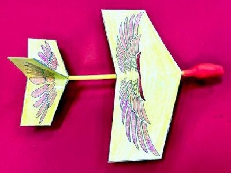 Paper Bird Flyers (STEAM) School Holiday Activity at Shepparton Library