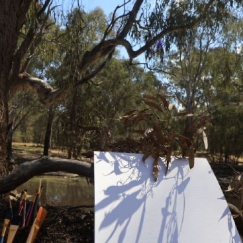 River's Palette - A Watercolour Workshop in Nature