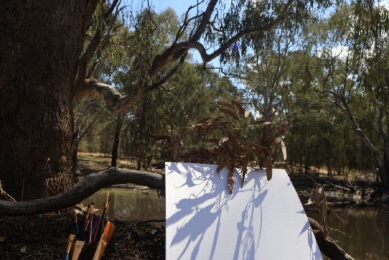 River's Palette - A Watercolour Workshop in Nature