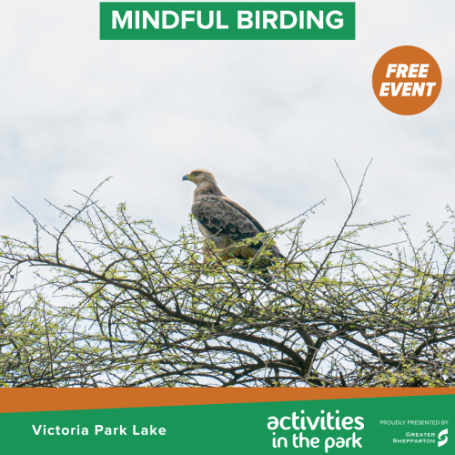 Mindfulness Journey: Mindful Birding