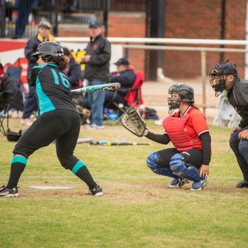 Victorian Softball Masters Championships