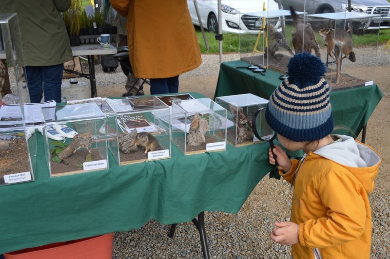 Nurture Nature at Murchison