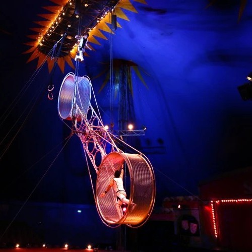 Silvers Circus