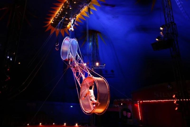Silvers Circus