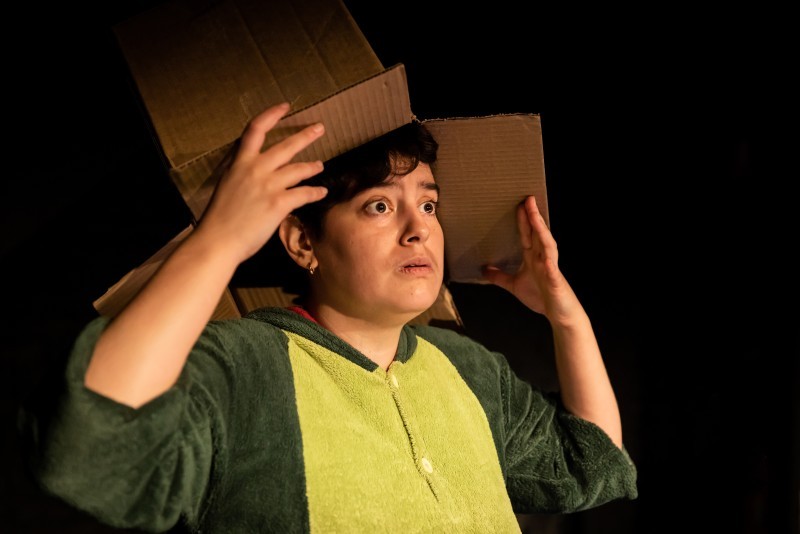 Riverlinks and RAV present Artemis: Utter Mess - Dookie -- An In Your Town Show