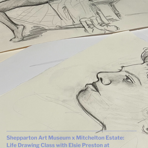 Life Drawing: Shepparton Art Museum at Mitchelton Estate