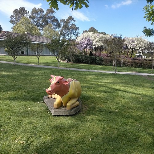 Shepparton Senior Citizens Monster Garage Sale