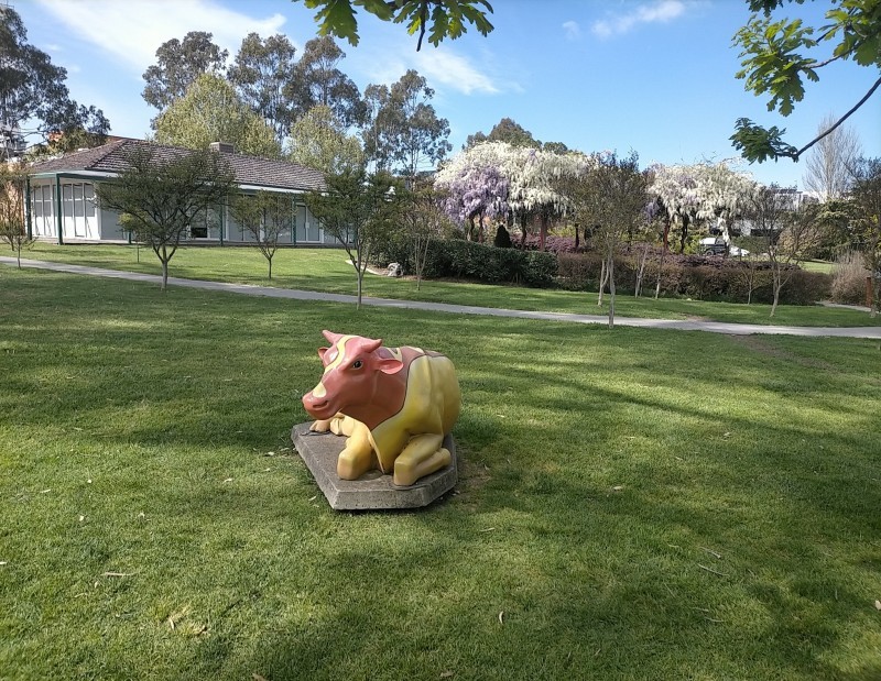 Shepparton Senior Citizens Monster Garage Sale