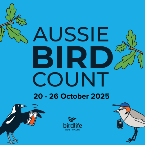 Aussie Bird Count 2026