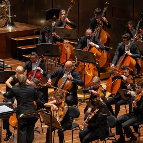 Riverlinks and Melbourne Symphony Orchestra present An Evening with the MSO