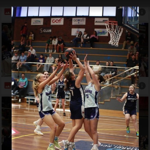 CBL Shepparton Gators Basketball 