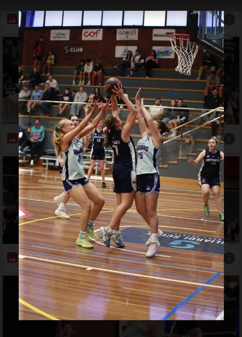 CBL Shepparton Gators Basketball 