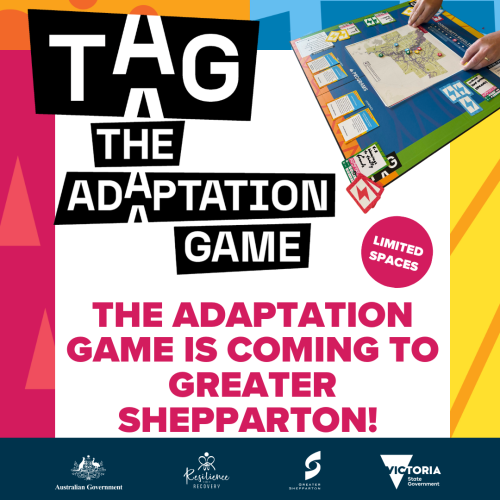 The Adaptation Game (TAG) training