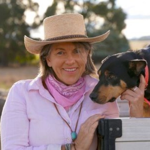 Author Talk at Shepparton Library - Rachael Treasure