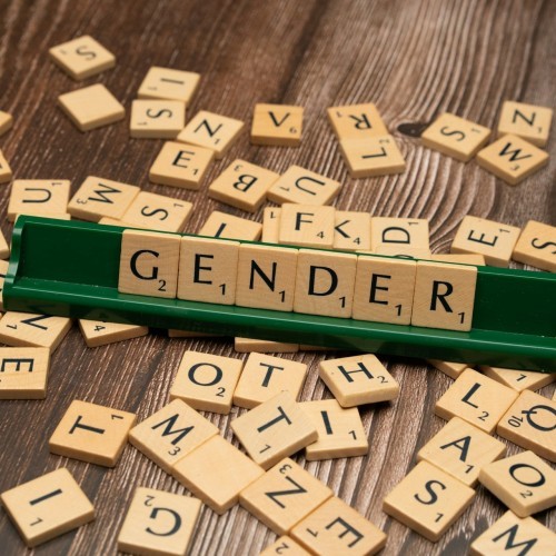What is gender? Online Discussion