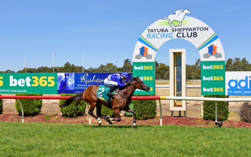 Tatura Cup
