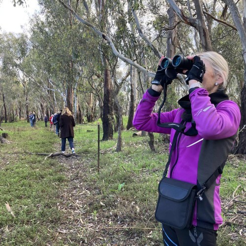 Accessible Mindful Birding