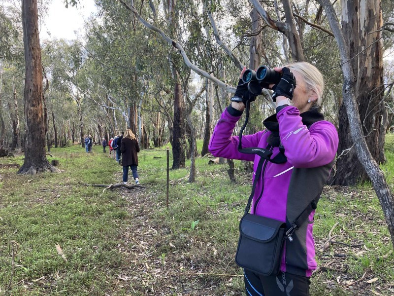 Accessible Mindful Birding
