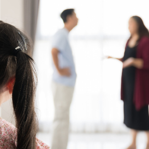 Family Dispute Resolution in the Context of Family Violence