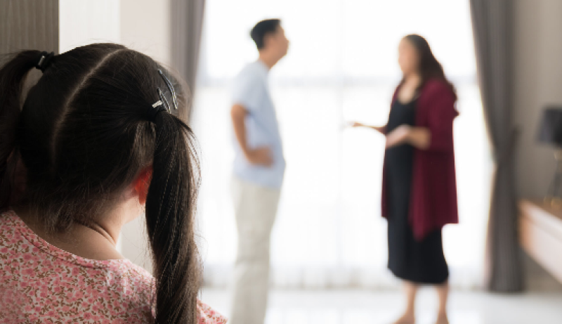 Family Dispute Resolution in the Context of Family Violence