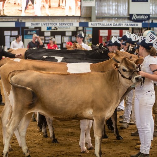 International Dairy Week 2026