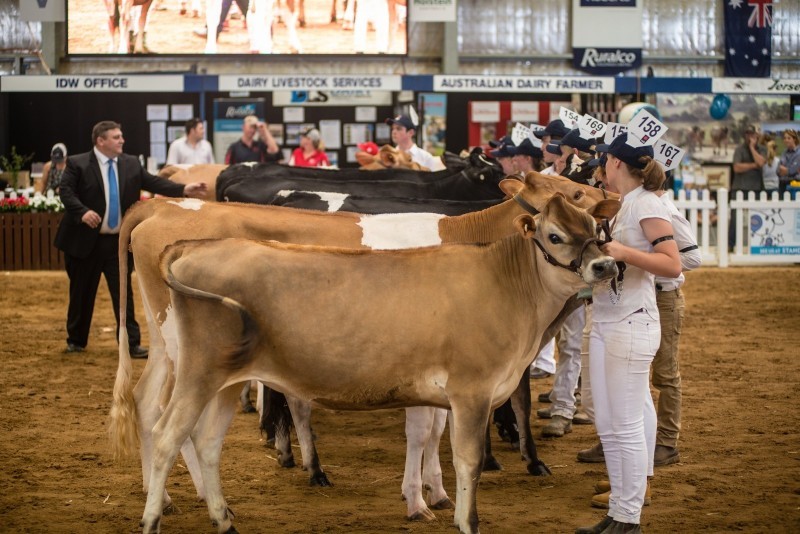 International Dairy Week 2026