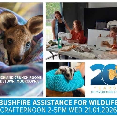 Bushfire Assistance for Wildlife - Crafternoon