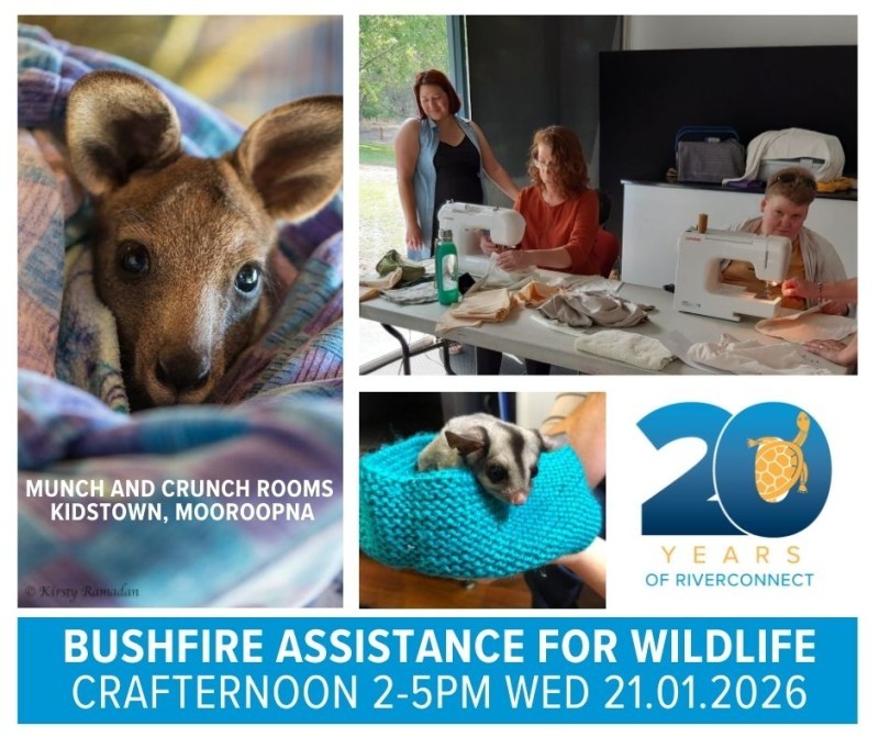 Bushfire Assistance for Wildlife - Crafternoon