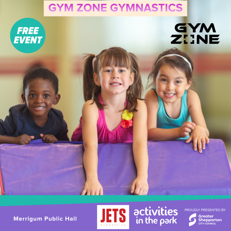 Gym Zone Gymnastics