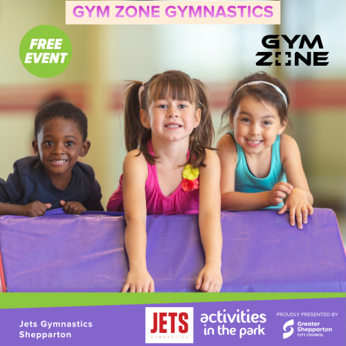 Gym Zone Gymnastics