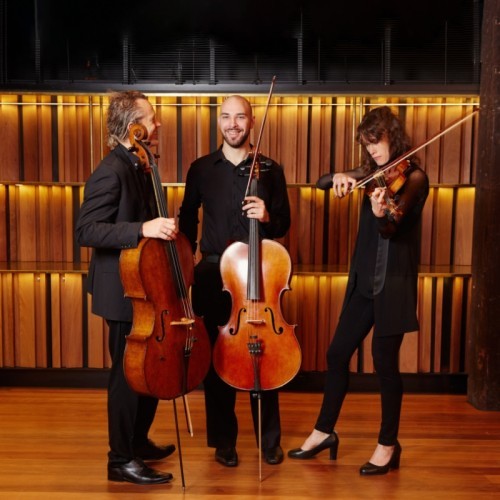 Riverlinks & the Australian Chamber Orchestra present ACO Collective - Bach, Brahms & P&auml;rt