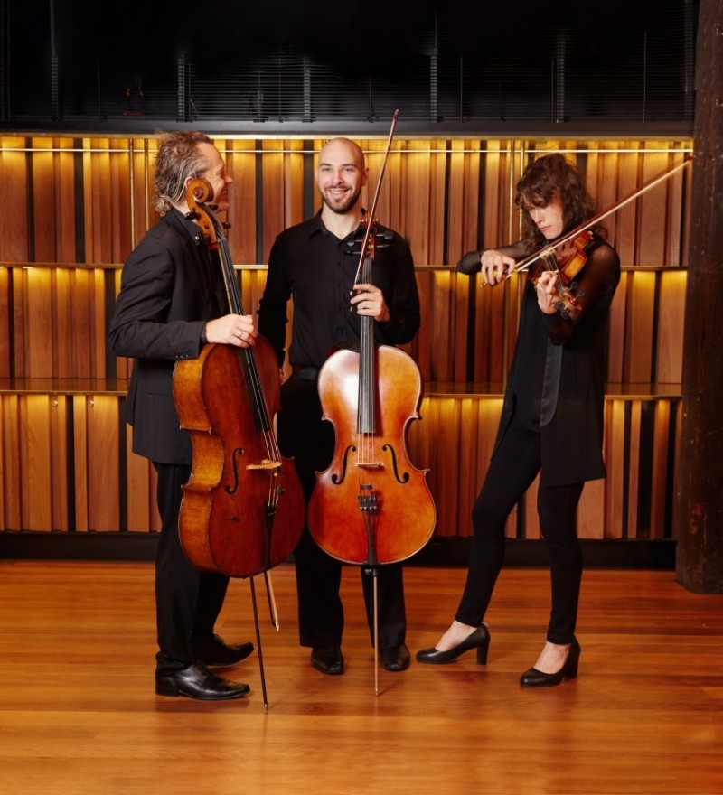 Riverlinks & the Australian Chamber Orchestra present ACO COLLECTIVE - SCHOOLS CONCERT -- Bach, Brahms & Pärt 